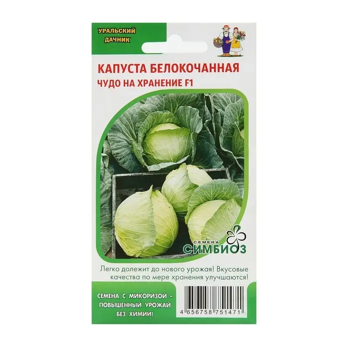 Семена Капусты белокочанной  Семена Капусты белокочанной "Чудо на хранение" F1, 0,3 г