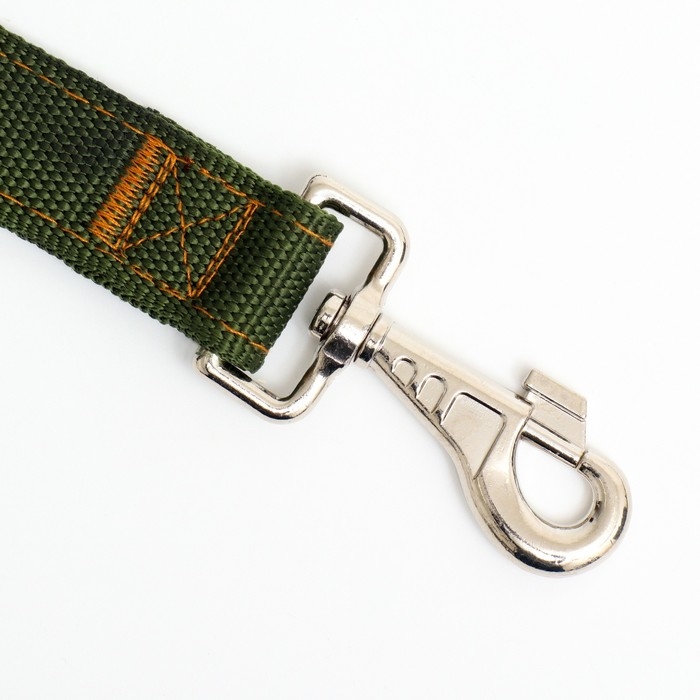 Поводок двухслойный с усиленным карабином, 2 м х 3 см, зелёный Поводок двухслойный с усиленным карабином, 2 м х 3 см, зелёный