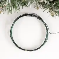 Гирлянда &laquo;Нить&raquo; 5 м, роса, IP20, зелёная нить, 50 LED, 2 режима, от батареек АА&times;3, свечение мульти