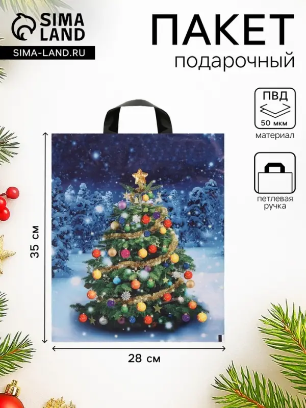 Пакет новогодний &laquo;Зимняя красавица&raquo;, полиэтиленовый с петлевой ручкой, 28&times;35 см, 50 мкм