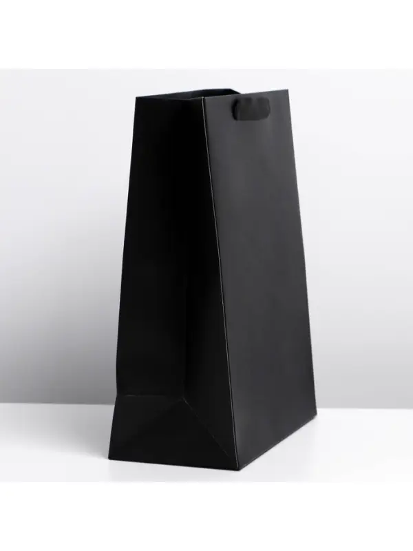 Пакет подарочный ламинированный, упаковка, &laquo;Чёрный&raquo;, ML 23 х 27 х 11.5 см