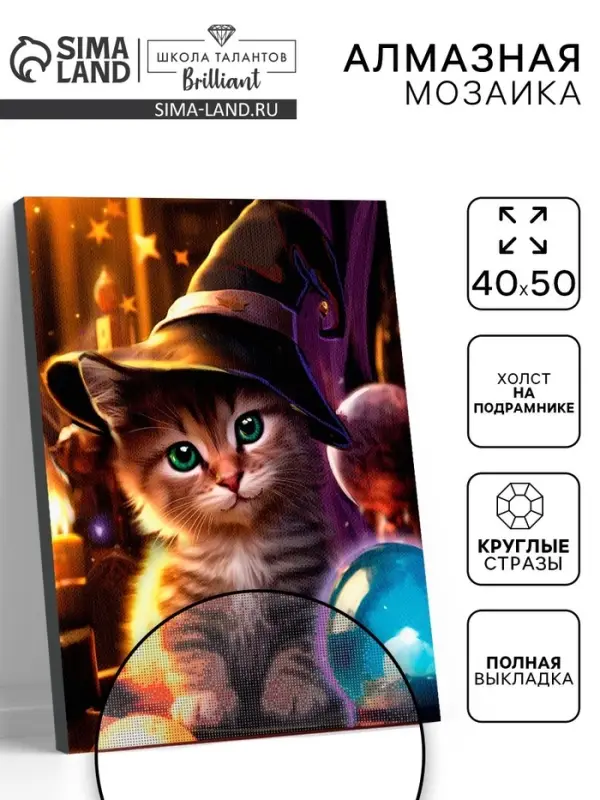 Алмазная вышивка полное заполнение &laquo;Котенок в шляпе&raquo;, на раме, 40&times;50 см