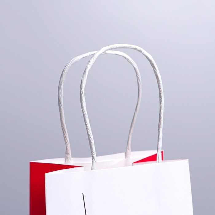 Пакет подарочный крафтовый, упаковка, «Love», 12 х 21 х 9 см Пакет подарочный крафтовый, упаковка, «Love», 12 х 21 х 9 см