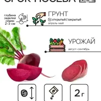 Семена Свекла &laquo;Фурор&raquo; округлая, 2 г, &laquo;Уральский дачник&raquo;