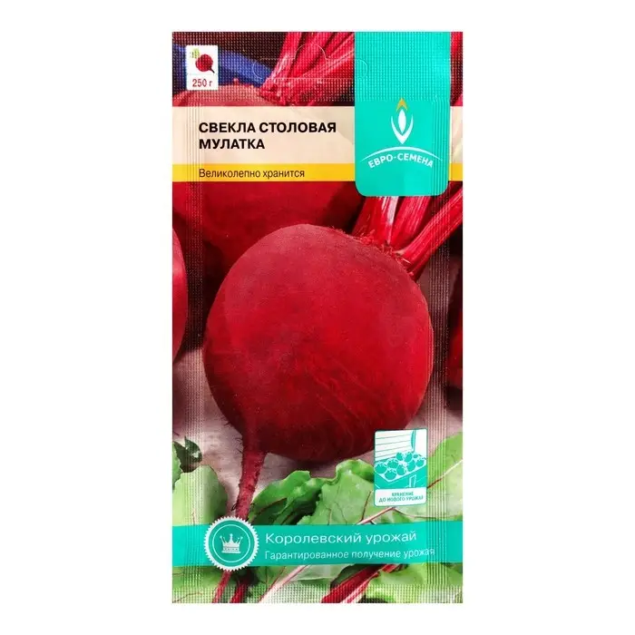 Семена Свекла  Семена Свекла "Мулатка",  цв/п, 2 г
