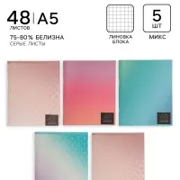 Тетради 5 штук (4 разные, 1 повторяющаяся), 48 листов в клетку &laquo;Мыльные пузыри&raquo;, серые листы, обложка мелованная блок №2