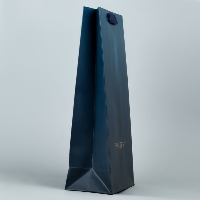 Пакет подарочный под две бутылки, упаковка, «Present», 35 х 20 х 9 см Пакет подарочный под две бутылки, упаковка, «Present», 35 х 20 х 9 см