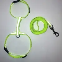 Комплект для кошек светоотражающий, ширина 1 см, шлейка 21-35 см, поводок 120 см, зелёный