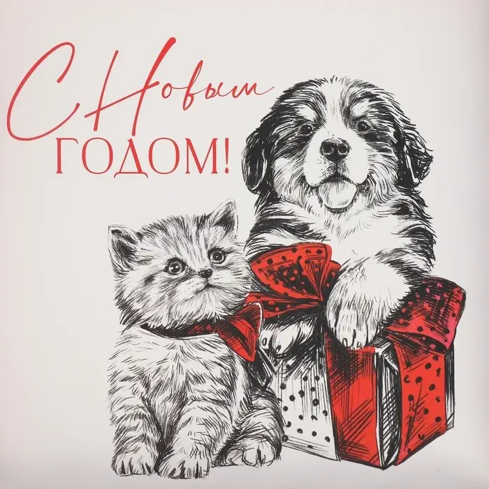 Коробка для кондитерских изделий с пластиковой крышкой «С Новым годом!», 21×21×3 см Коробка для кондитерских изделий с пластиковой крышкой «С Новым годом!», 21×21×3 см