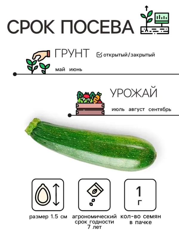 Семена Кабачок  Семена Кабачок "Скворушка", 1 г