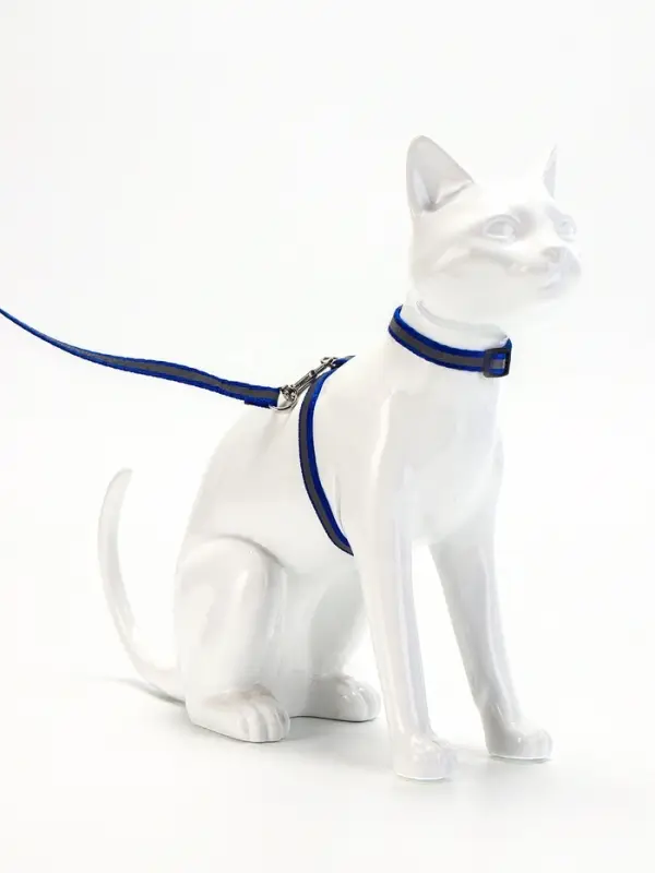 Комплект для кошек, шлейка 21-35 см, ширина 1 см, поводок 120 см, светоотражающий, синий