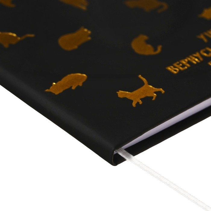 Дневник универсальный для 1-11 класса "Ушла! Вернусь, когда приду", твёрдая обложка, искусственная кожа, тиснение фольгой, ляссе, 80 г/м2