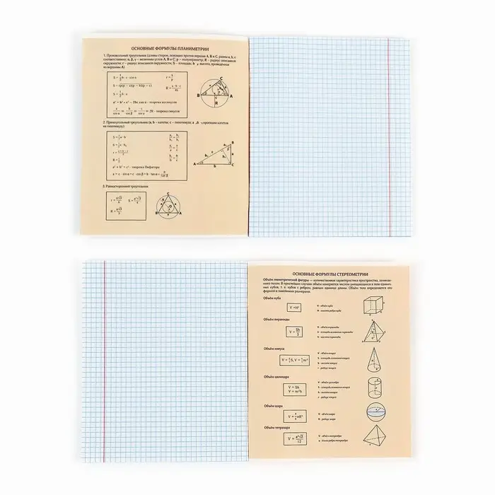 Тетрадь в клетку, предметная, 36 л.,на скрепке, блок №1 &laquo;Мемы. Геометрия&raquo;