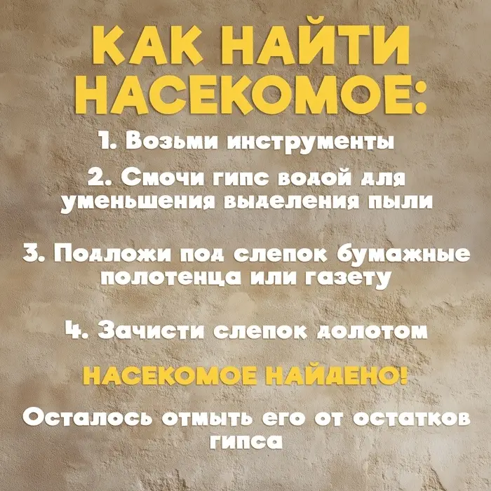Раскопки &laquo;Тайна жука Скарабея&raquo;