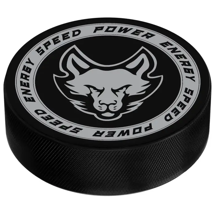 Шайба хоккейная Winter Star, взрослая, d=7.6 см