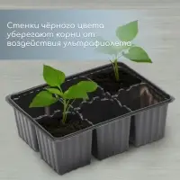 Кассета для рассады, 6 ячеек по 120 мл, пластик, чёрная, набор 5 шт.