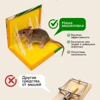 Клеевая ловушка-книжка от грызунов SAFEX, с запахом арахиса, 1 шт.