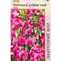 Семена Горошек душистый Луис 1 г Семена Горошек душистый Луис 1 г