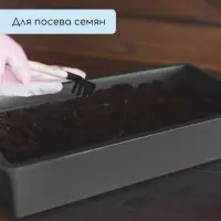 Ящик для рассады, 50&times;20&times;10 см, 6 л, пластик, цвет МИКС, &laquo;Урожай-3 м&raquo;
