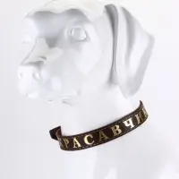 Ошейник однослойный "Красавчик", 2.5 см, тиснение фольгой, микс цветов Ошейник однослойный "Красавчик", 2.5 см, тиснение фольгой, микс цветов