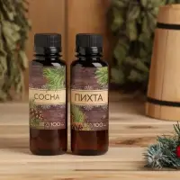 Новогодний набор ароматизаторов &laquo;Новогодняя посылочка&raquo;, сосна, пихта, 2 шт. по 100 мл