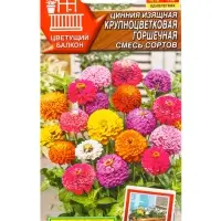 Семена цветов Цинния Крупноцветковая горшечная, смесь сортов Цветущий балкон, Ц/П,12 шт. Семена цветов Цинния Крупноцветковая горшечная, смесь сортов Цветущий балкон, Ц/П,12 шт.