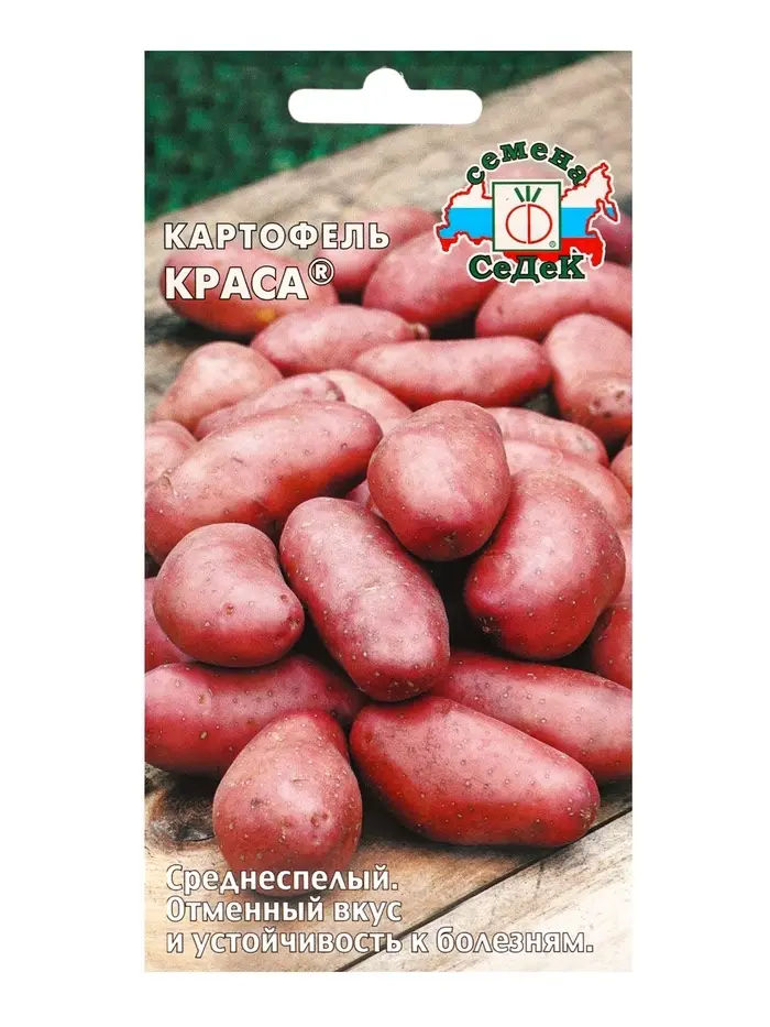 Семена Картофель  "Краса "0.02 г Семена Картофель  "Краса "0.02 г
