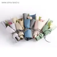 Плёнка для цветов и подарков "Серо-зеленая", 57 х 57 ±5% см
