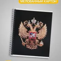 Тетрадь 96 листов в клетку, на гребне &laquo;Символика. Герб&raquo;, МИКС