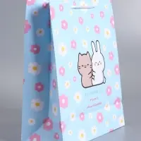 Пакет подарочный "Милашка" ламинированный 26 х 12 х 32 см