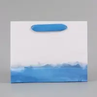 Пакет подарочный ламинированный, упаковка, &laquo;Гармонии&raquo;, 22&times;17.5&times;8 см