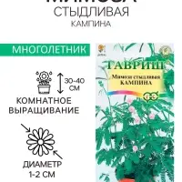 Семена комнатных цветов Мимоза "Кампина", ц/п,  0,1 г