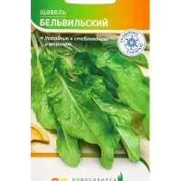 Семена Щавель "Бельвильский" 1 г Семена Щавель "Бельвильский" 1 г