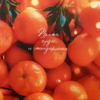 Пакет подарочный новогодний ламинированный, «Новогодние мандарины» , 26×12×32 см Пакет подарочный новогодний ламинированный, «Новогодние мандарины» , 26×12×32 см