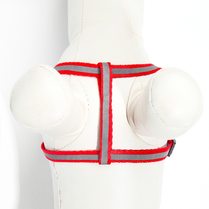 Комплект со светоотражающей лентой, ошейник 120 х 1 см, ОГ 26-40 см, красный Комплект со светоотражающей лентой, ошейник 120 х 1 см, ОГ 26-40 см, красный