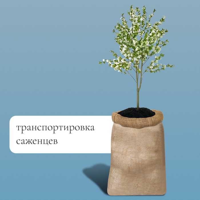 Мешок джутовый, 50 × 80 см, плотность 26 × 26 нитей, без завязок, Greengo Мешок джутовый, 50 × 80 см, плотность 26 × 26 нитей, без завязок, Greengo