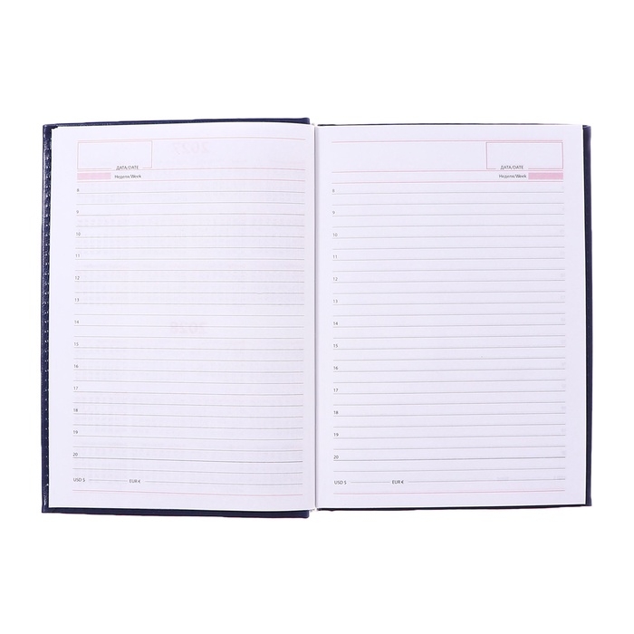 Ежедневник недатированный А5, 160 листов  Ежедневник недатированный А5, 160 листов "Небраска", обложка искусственная кожа, перфорация углов, синий