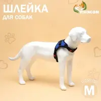 Шлейка К7, размер М, ОГ 52-66 см, вес 9.5-17.5 кг, мягкая, светоотражающая, синяя