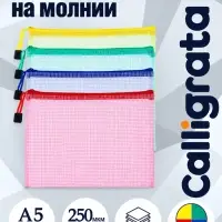 Папка-конверт на молнии А5 Calligrata &laquo;Клеточка&raquo;, 250 мкм, сетка, МИКС