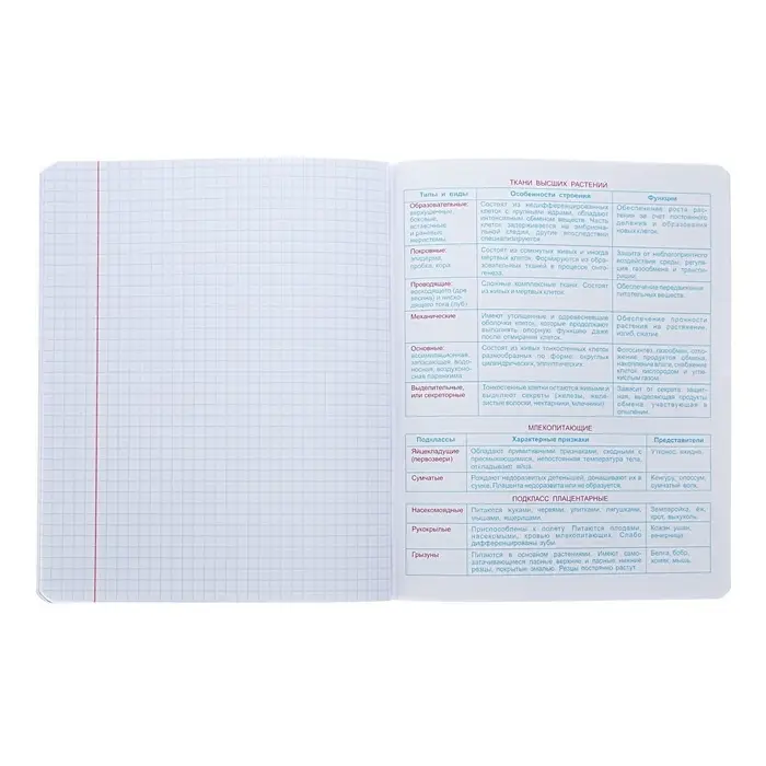 Тетрадь предметная "Неоновые истории", 48 листов в клетку, "Биология", обложка мелованный картон, ВД-лак, неон, блок офсет