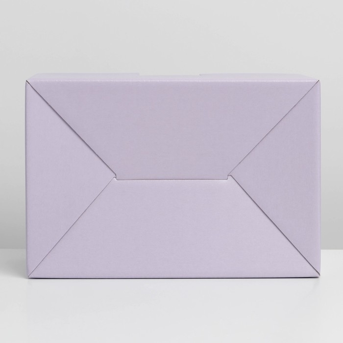 Коробка подарочная складная, упаковка, «Лавандовая», 22 х 15 х 10 см Коробка подарочная складная, упаковка, «Лавандовая», 22 х 15 х 10 см