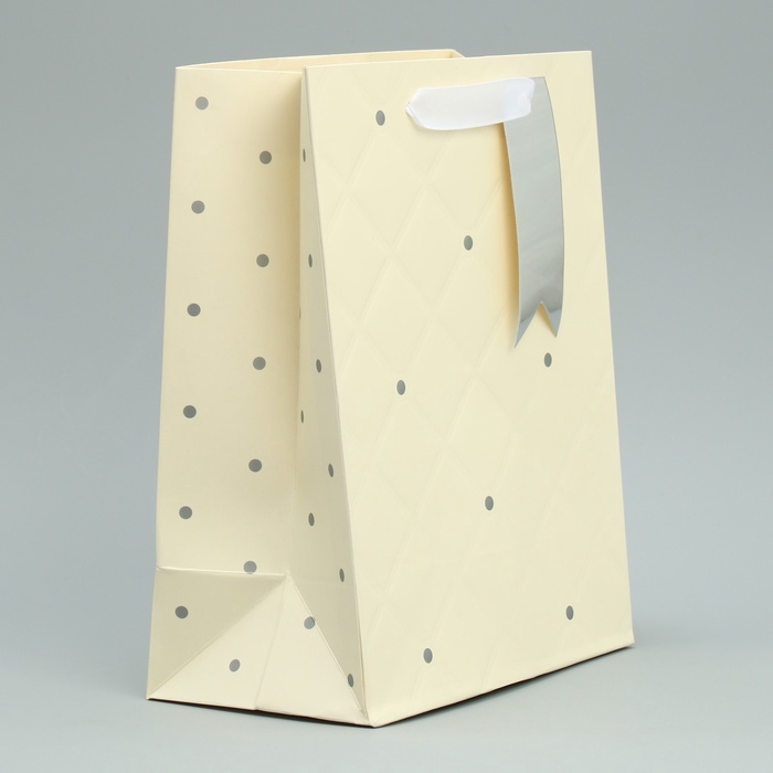 Пакет подарочный, упаковка, &laquo;Белый&raquo;, 23 х 18 х 10 см