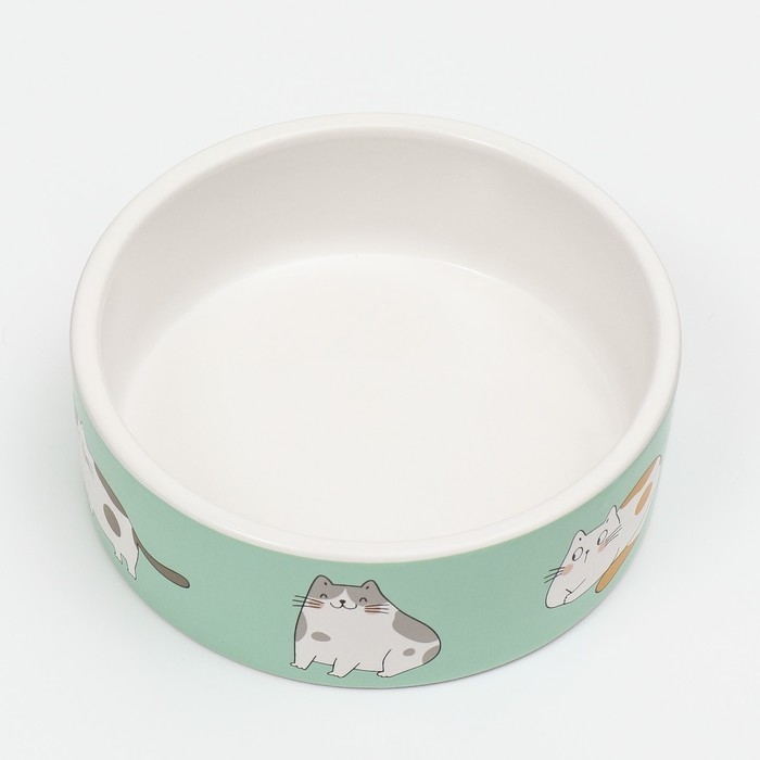 Миска керамическая  Миска керамическая "Котяры" 300 мл  12,5 x 4,5 cм, бело-зелёная