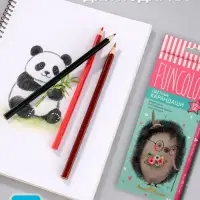 Карандаши цветные 12 цветов FunColor, пластиковые, трёхгранные, МИКС