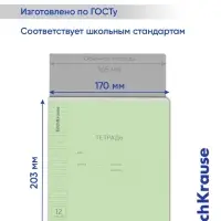 Тетрадь 12 листов в косую линейку ErichKrause &laquo;Классика Visio&raquo;, обложка мелованный картон, зелёная
