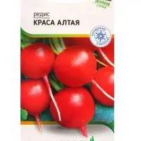 Семена Редис &laquo;Краса Алтая&raquo; 5 г