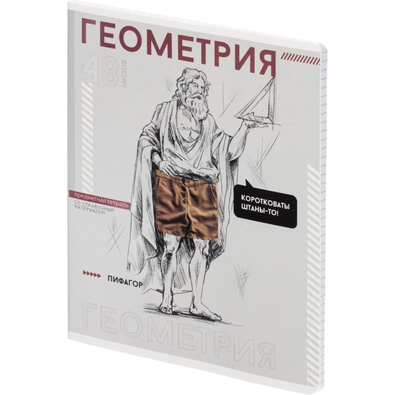 Тетрадь предметная  ГЕОМЕТРИЯ ЯРКИЕ ДЕТАЛИ /48 л., А5+,клетка/67538
