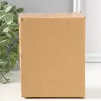 Сувенир полистоун "Лягушонок на дереве с ящерицей на спине" 12,5 см