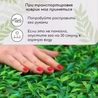 Декоративная панель, 60&times;40 см, &laquo;Трава&raquo;, Greengo