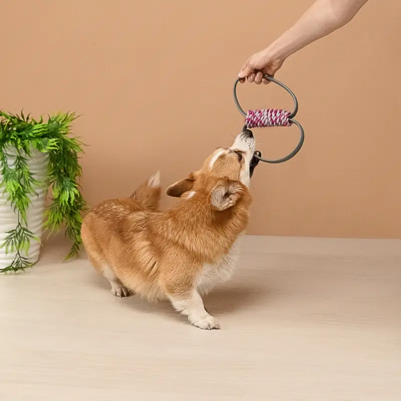 VETTA Игрушка для домашних животных, ТПР, 11х4,5 см